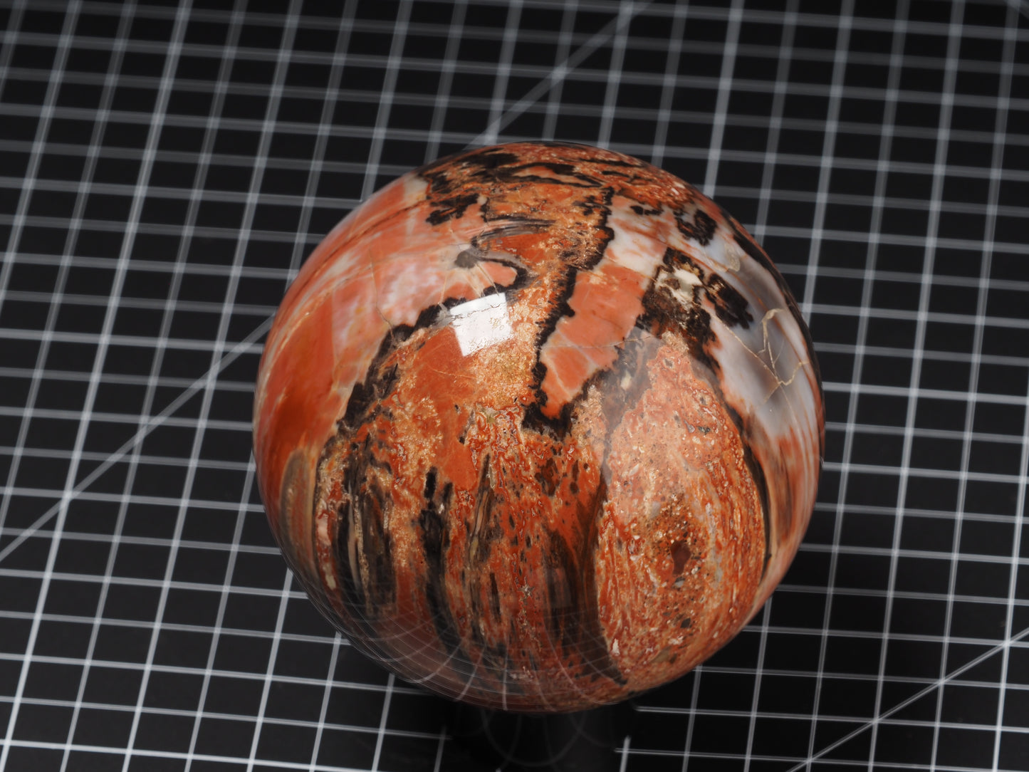 Arizona Petrified Wood Sphere 4-1/2”