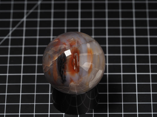 Arizona Petrified Wood Sphere 2-1/8”