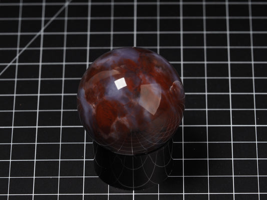 Petrified Wood 2-1/8”