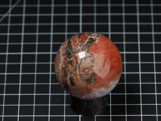 Arizona Petrified Wood Sphere 2-3/16”