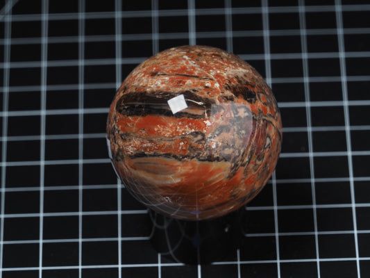 Arizona Petrified Wood Sphere 2-3/16”