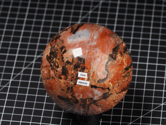 Arizona Petrified Wood Sphere 4-1/2”