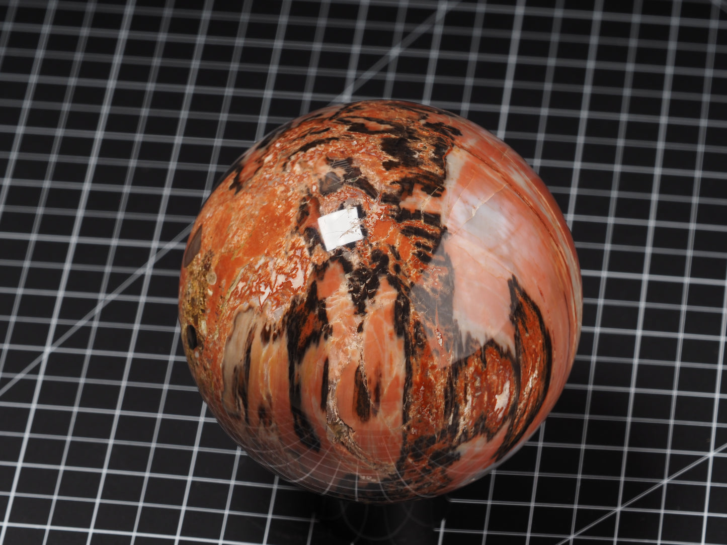 Arizona Petrified Wood Sphere 4-1/2”