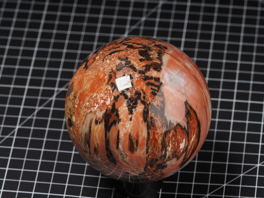 Arizona Petrified Wood Sphere 4-1/2”