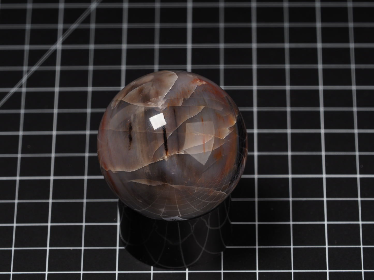 Arizona Petrified Wood Sphere 2-1/8”