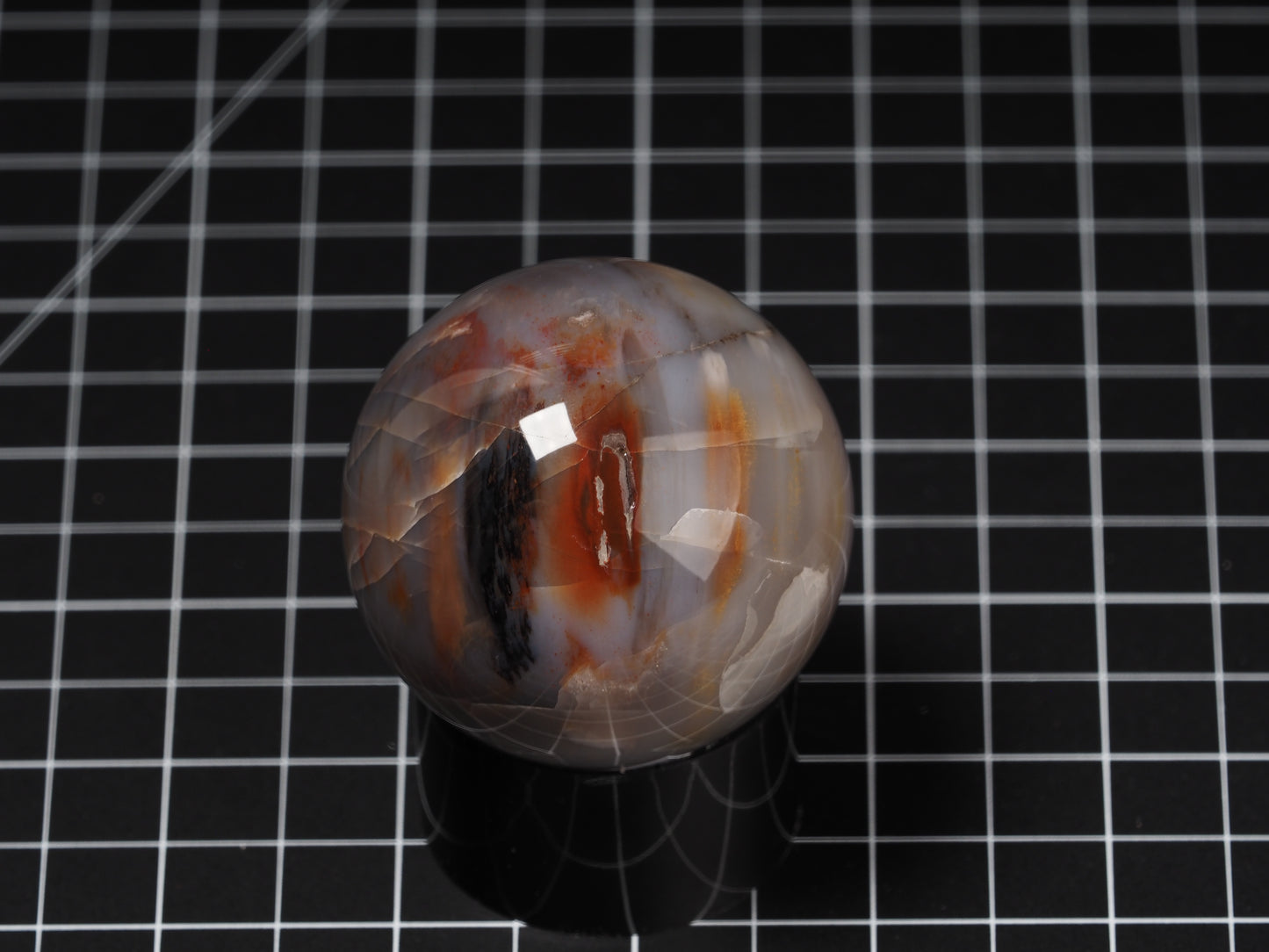 Arizona Petrified Wood Sphere 2-1/8”