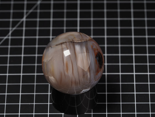 Arizona Petrified Wood Sphere 2-1/8”