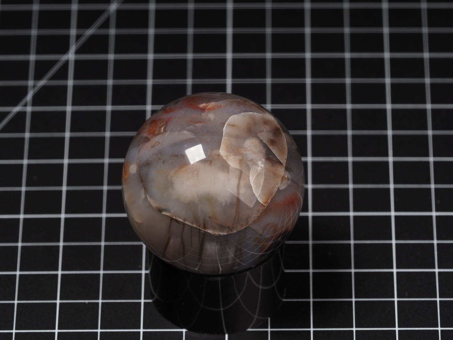 Arizona Petrified Wood Sphere 2-1/8”