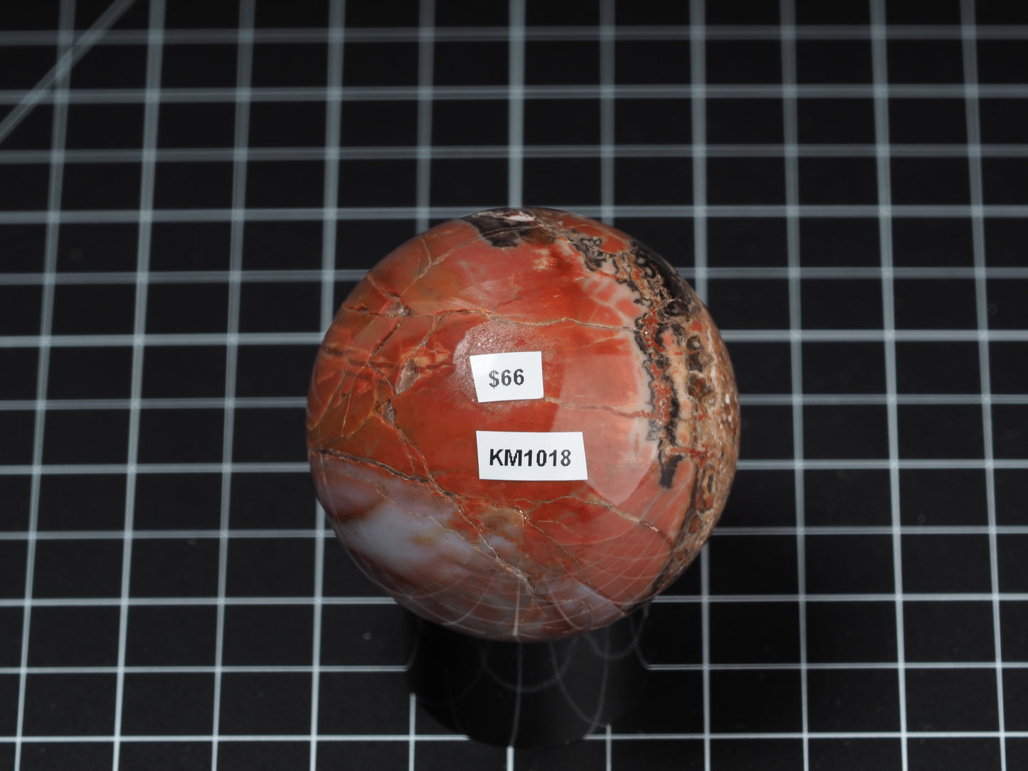 Arizona Petrified Wood Sphere 2-3/16”