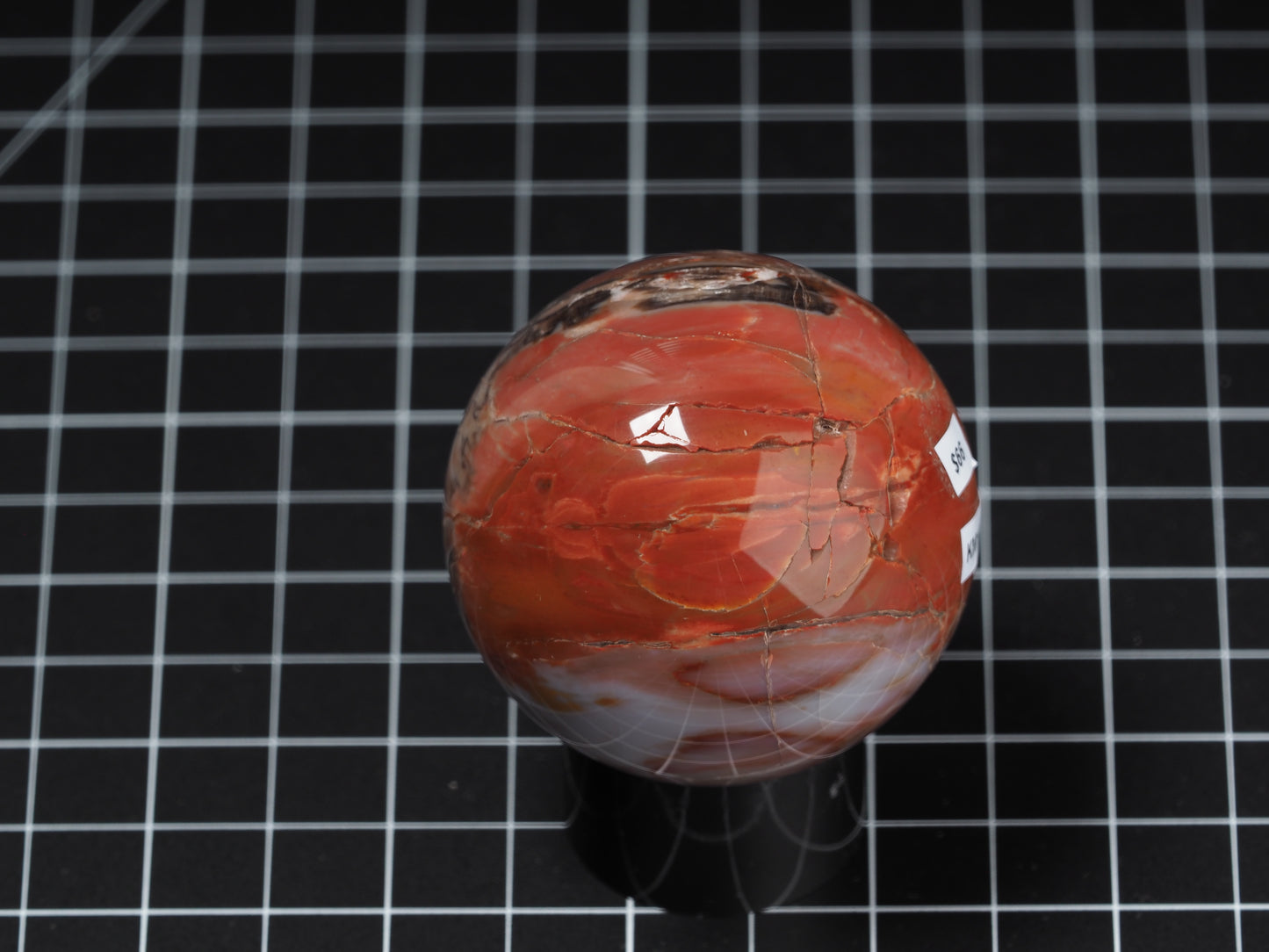 Arizona Petrified Wood Sphere 2-3/16”