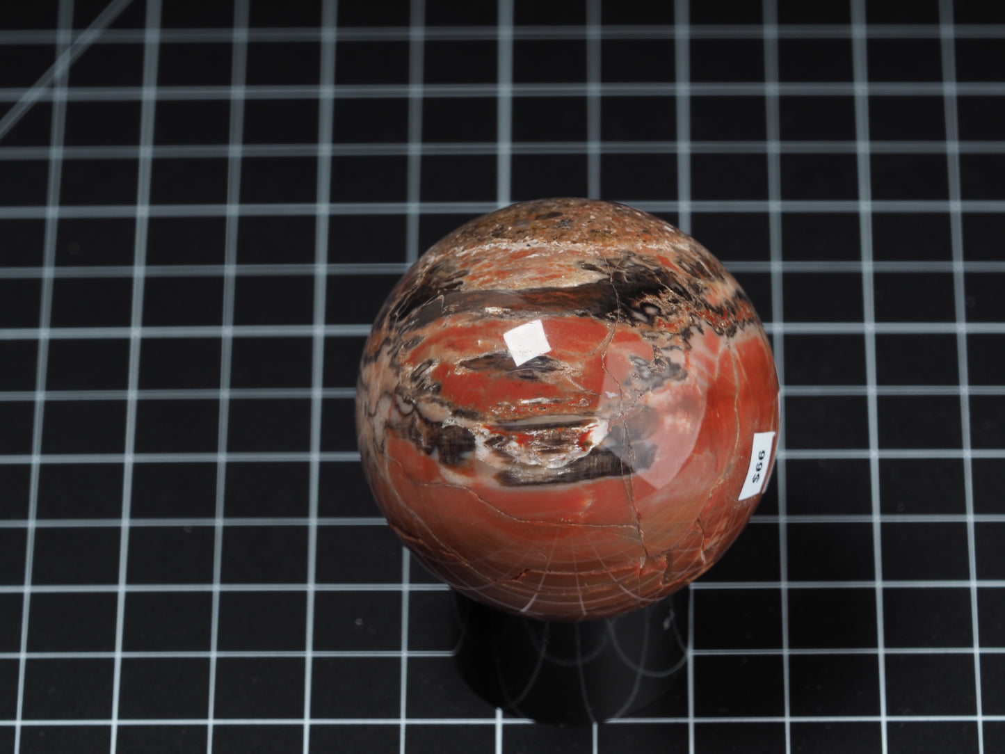 Arizona Petrified Wood Sphere 2-3/16”