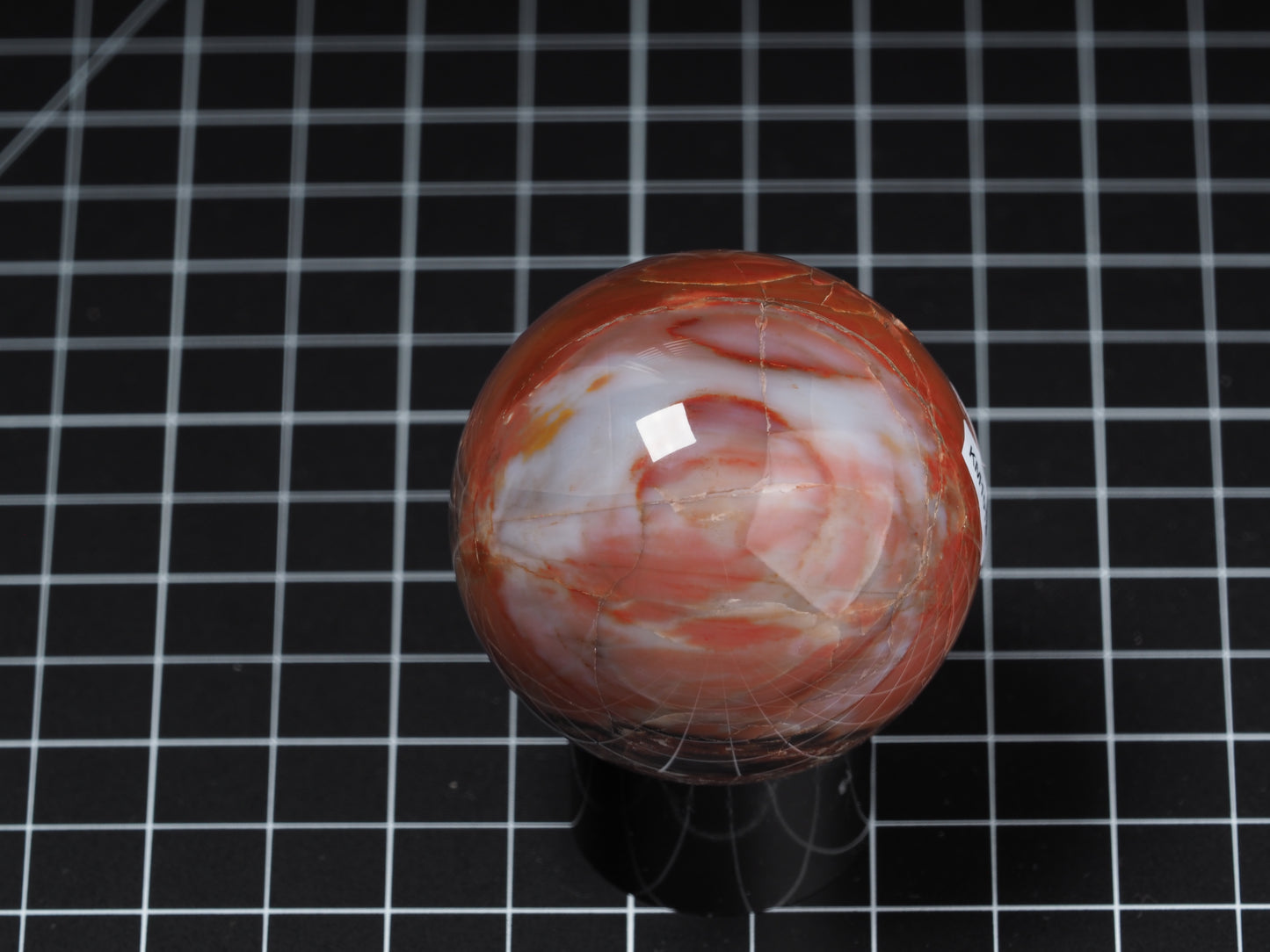 Arizona Petrified Wood Sphere 2-3/16”