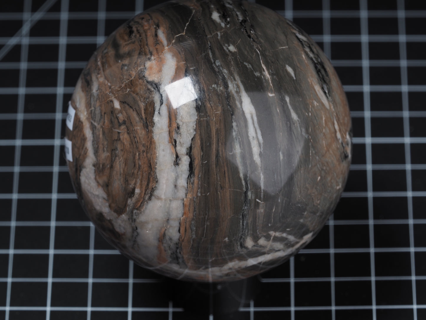Petrified Wood Sphere 3-7/16”