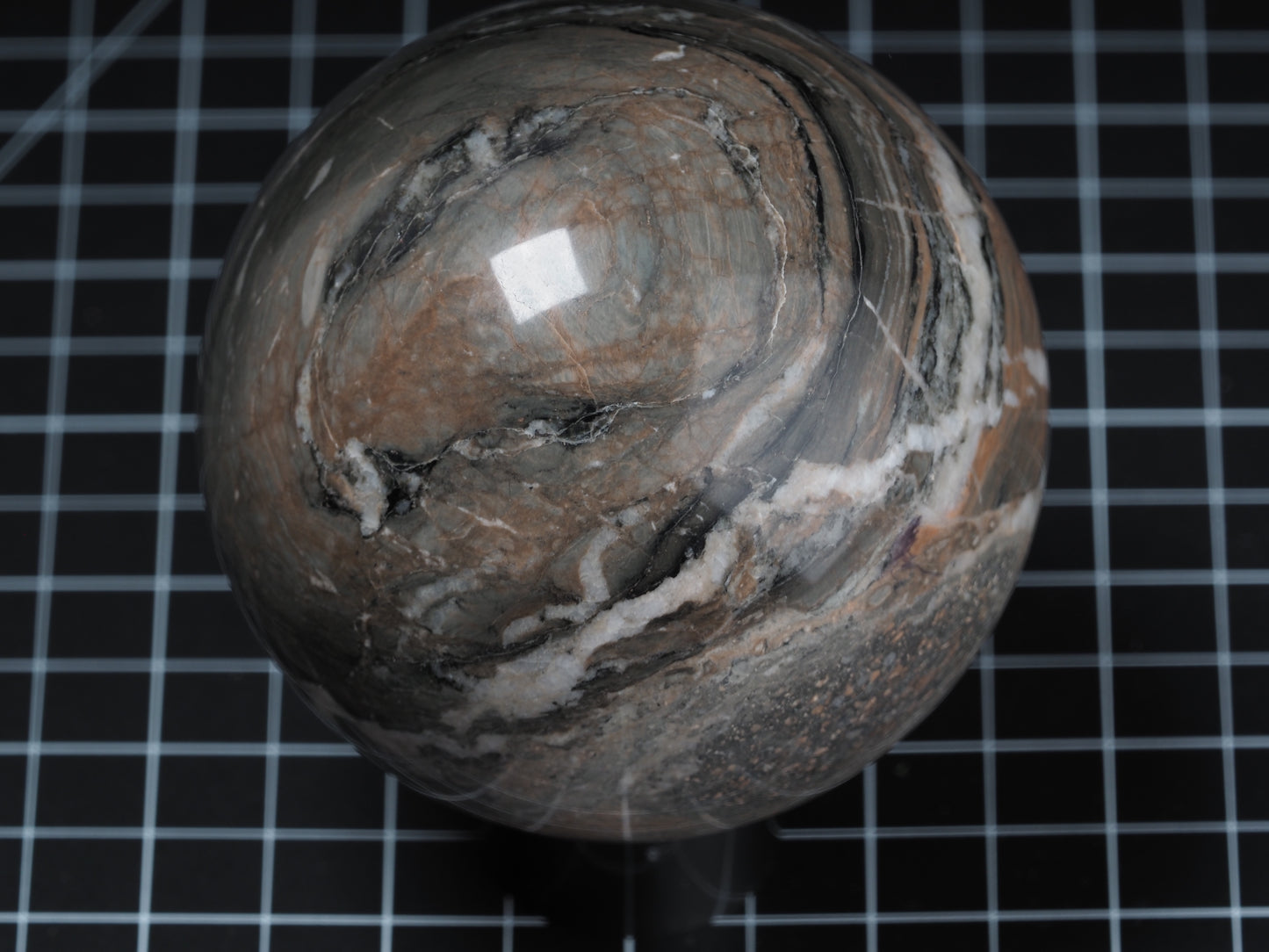 Petrified Wood Sphere 3-7/16”