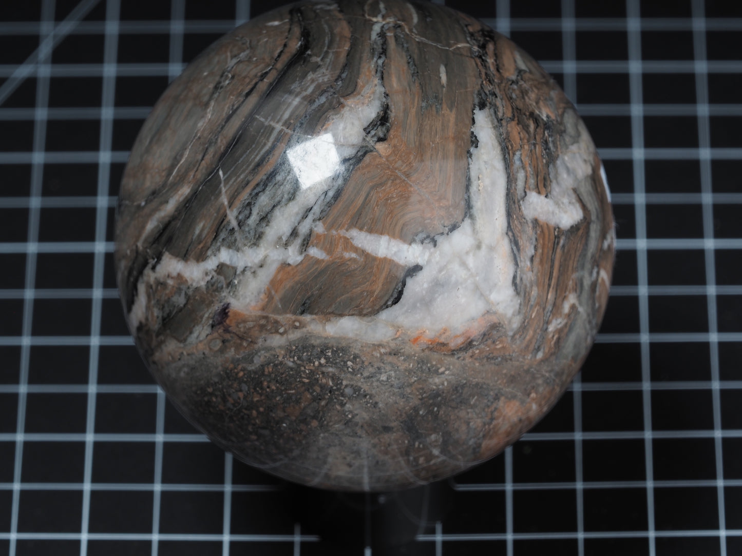 Petrified Wood Sphere 3-7/16”