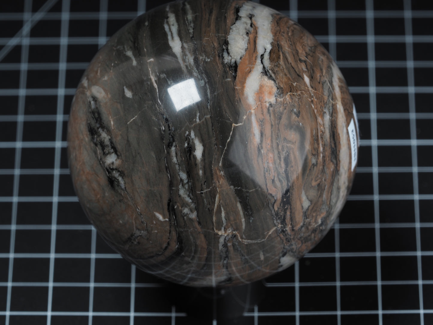 Petrified Wood Sphere 3-7/16”