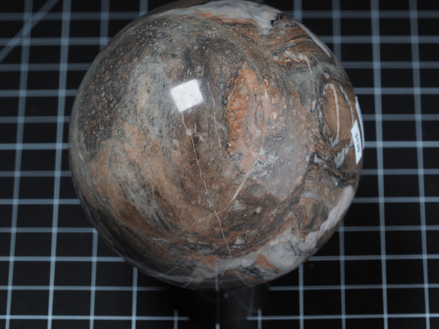 Petrified Wood Sphere 3-7/16”