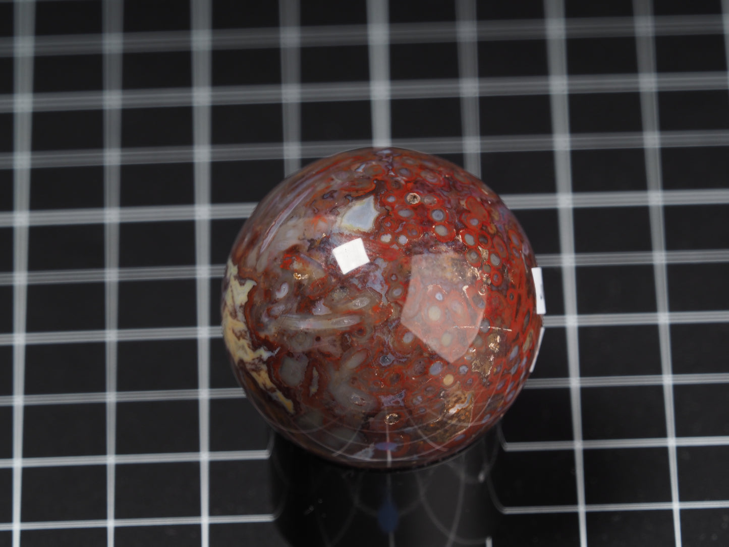 Stromatolite Sphere 1-11/16”