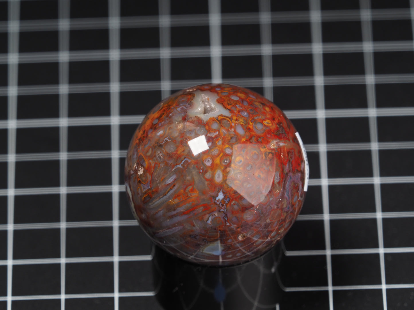 Stromatolite Sphere 1-11/16”