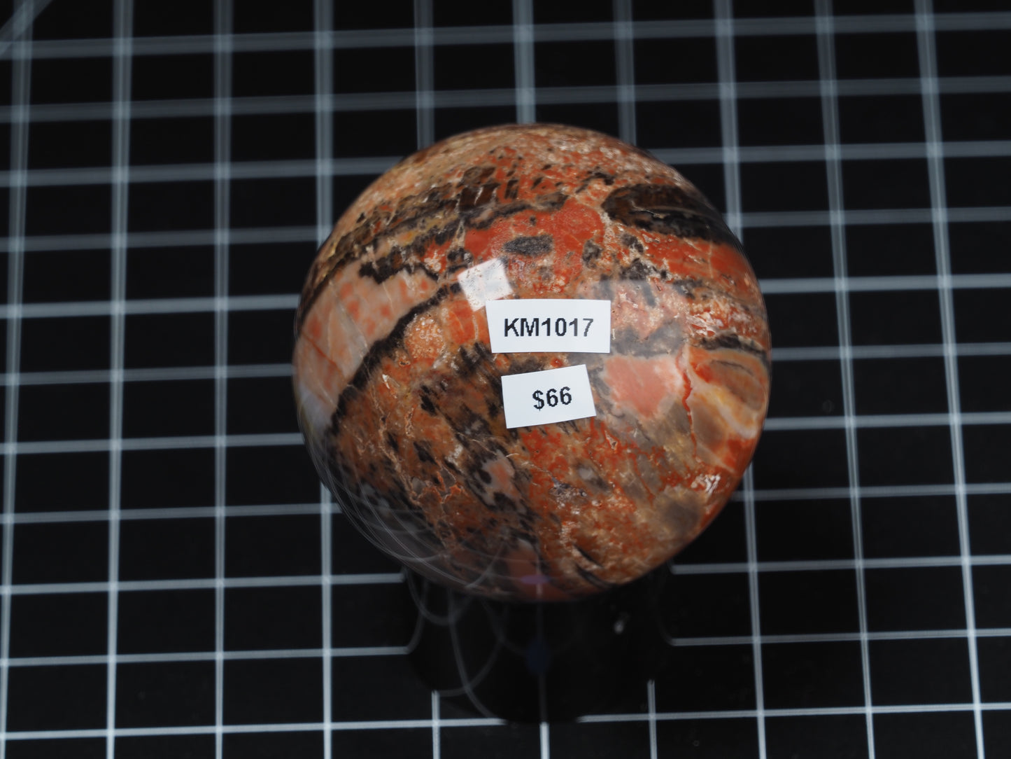 Arizona Petrified Wood Sphere 2-3/16”