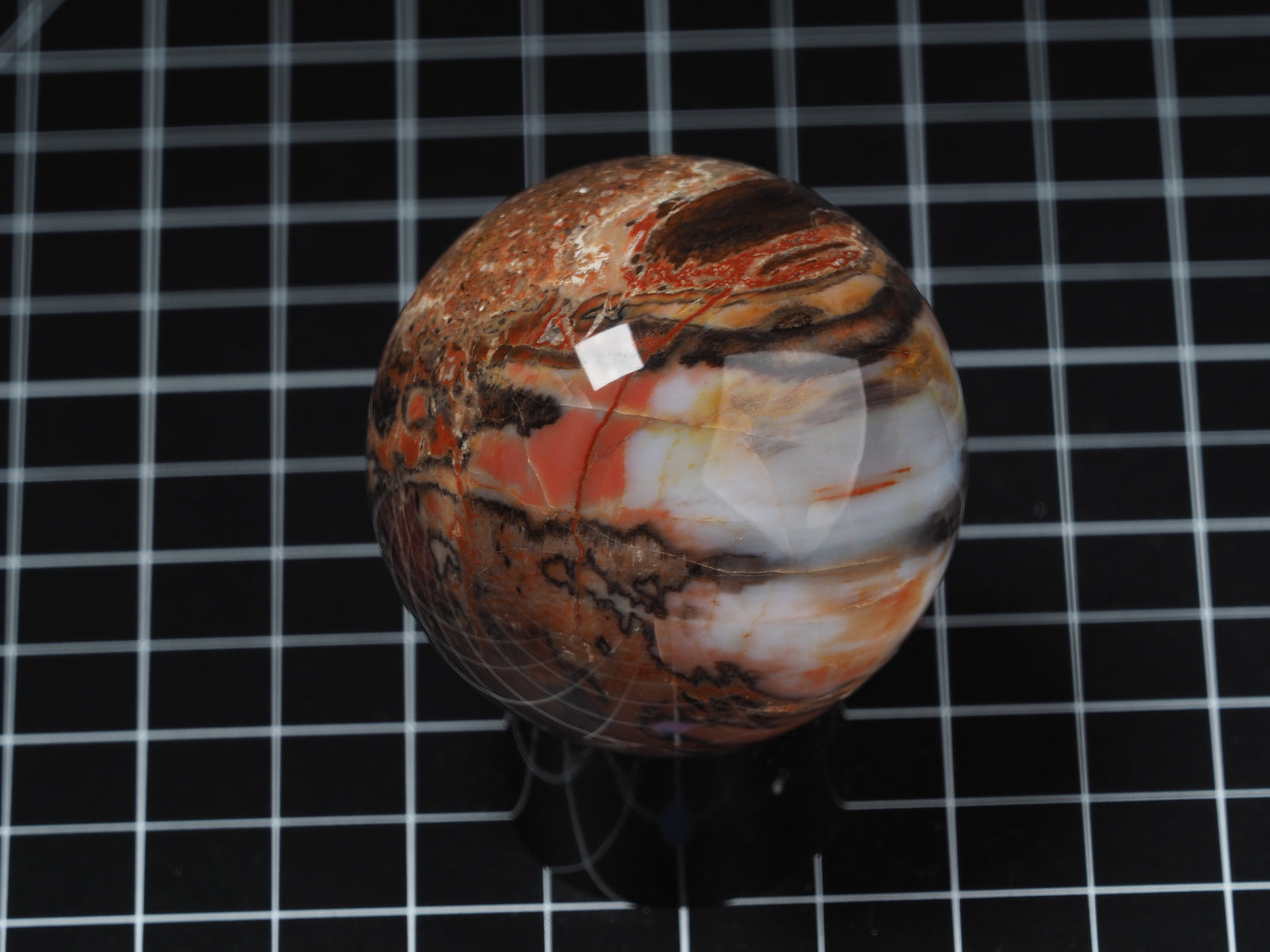 Arizona Petrified Wood Sphere 2-3/16”